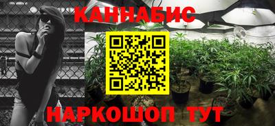 ешки Партизанск
