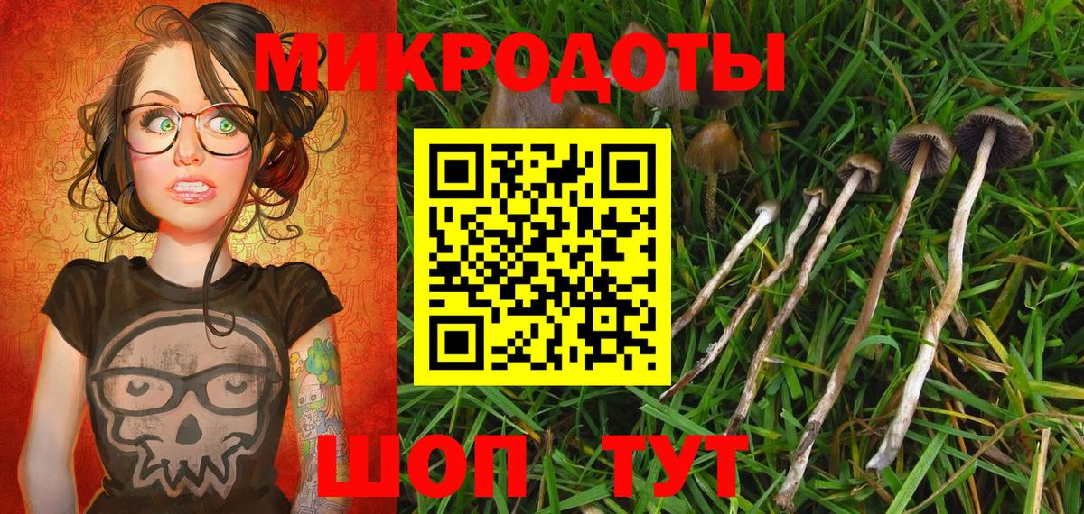 Находка  Галлюциногенные грибы Cubensis  Галлюциногенные грибы Cubensis  Вход с VPN 